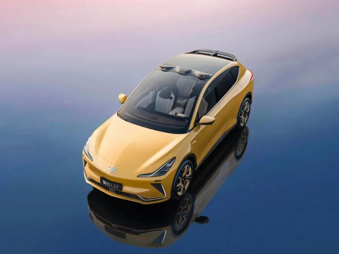 1772503903652531.jpeg 3.jpeg